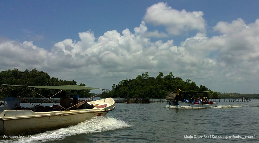 Madu River Boat Safari Sri Lanka
