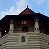 Scenic Sri Lanka Tour