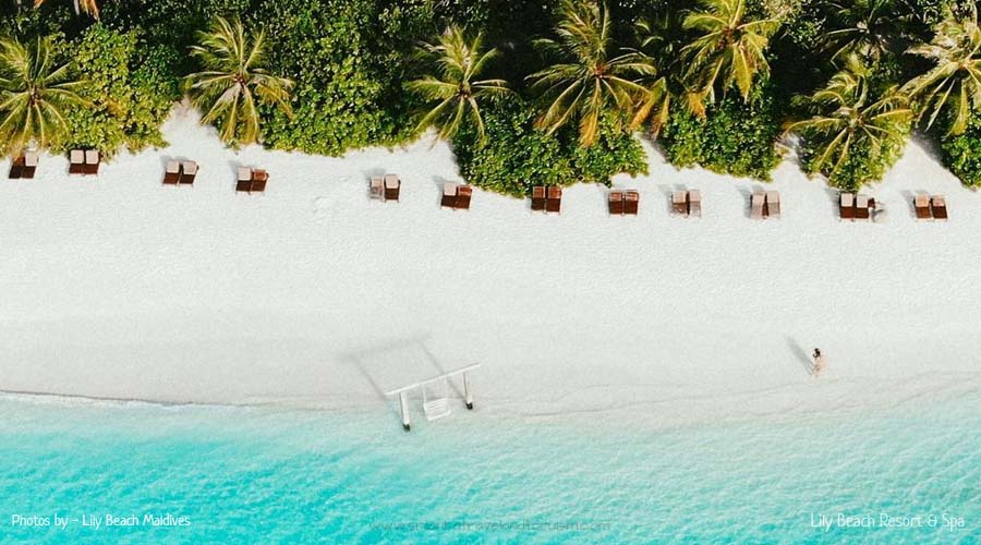lily beach resort maldives beach