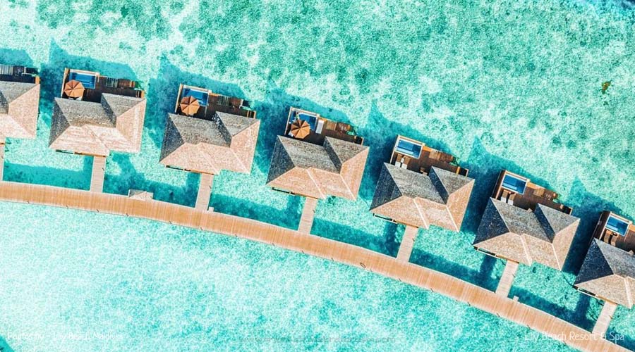 lily beach resort maldives price