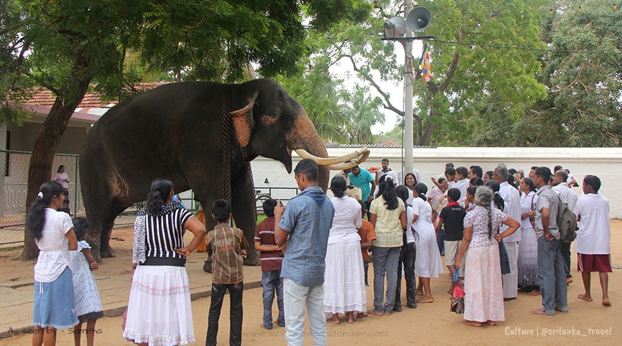 Culture Sri Lanka